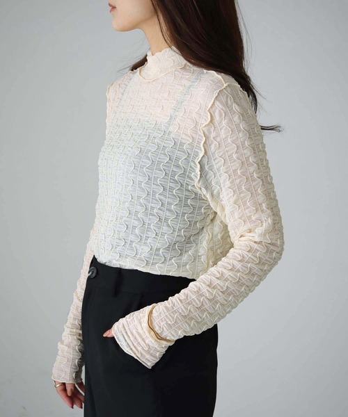 cheriella(シェリエラ)の「【cheriella】WEB限定ウェーブシアーメッシュトップス WEB LIMITED WAVE SHEER MESH TOPS(Tシャツ/カットソー・レディース・ブラック/アイボリー・M)」の17枚目の写真