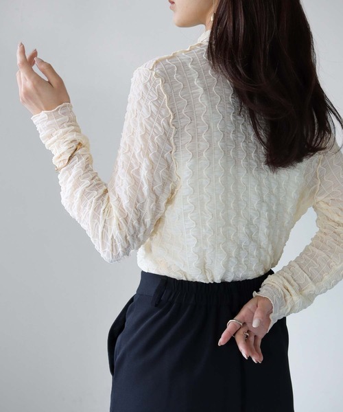 cheriella(シェリエラ)の「【cheriella】WEB限定ウェーブシアーメッシュトップス WEB LIMITED WAVE SHEER MESH TOPS(Tシャツ/カットソー・レディース・ブラック/アイボリー・M)」の16枚目の写真