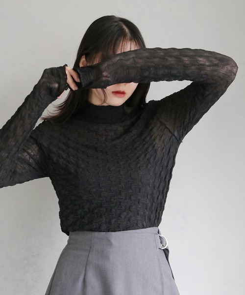 cheriella(シェリエラ)の「【cheriella】WEB限定ウェーブシアーメッシュトップス WEB LIMITED WAVE SHEER MESH TOPS(Tシャツ/カットソー・レディース・ブラック/アイボリー・M)」の22枚目の写真