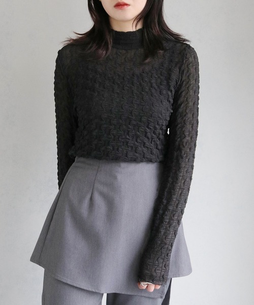 cheriella(シェリエラ)の「【cheriella】WEB限定ウェーブシアーメッシュトップス WEB LIMITED WAVE SHEER MESH TOPS(Tシャツ/カットソー・レディース・ブラック/アイボリー・M)」の21枚目の写真