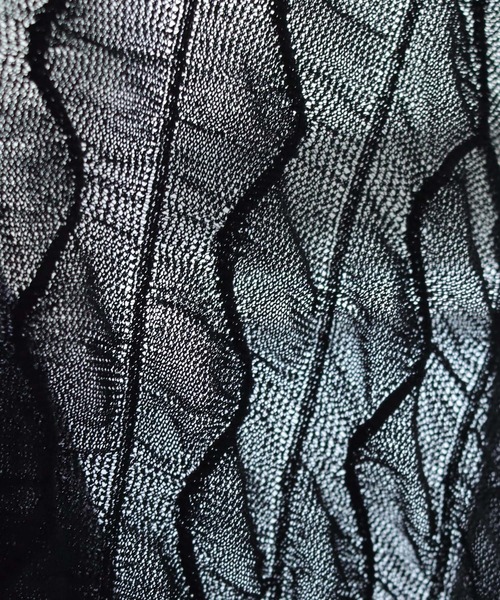 cheriella(シェリエラ)の「【cheriella】WEB限定ウェーブシアーメッシュトップス WEB LIMITED WAVE SHEER MESH TOPS(Tシャツ/カットソー・レディース・ブラック/アイボリー・M)」の4枚目の写真