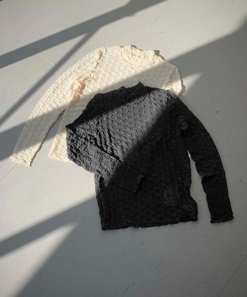 cheriella(シェリエラ)の「【cheriella】WEB限定ウェーブシアーメッシュトップス WEB LIMITED WAVE SHEER MESH TOPS(Tシャツ/カットソー・レディース・ブラック/アイボリー・M)」の5枚目の写真