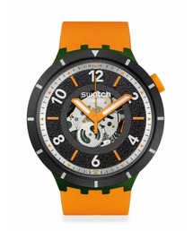 SWATCH(XEHb`)FALL-IAGE(AiOrv)