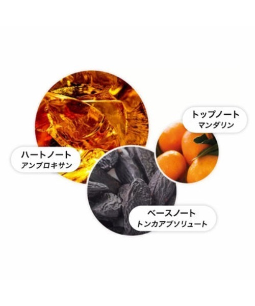 ネオンアンバー オードトワレ 100ml｜モルトンブラウン MOLTON BROWN