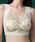 Lace Ladiesi[XfB[Xj́u{^jJ VlbN V[X mC[ uiiCgujvbx[W