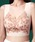 Lace Ladiesi[XfB[Xj́u{^jJ VlbN V[X mC[ uiiCgujvbsN