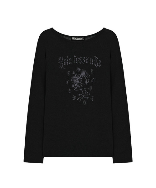 A FEW COMMENTS（アフューコメンツ）の「シアーラグランロングスリーブトップ ブラック（Tシャツ/カットソー・レディース・その他・FREE）」の2枚目の写真