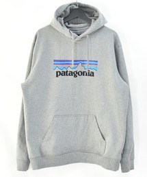 【ヴィンテージ古着】Patagonia パタゴニア ロゴ スウェットパーカー