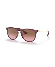 Ray-Ban レイバン サングラス ERIKA METAL EVOLVE/調光レンズ/紫外線