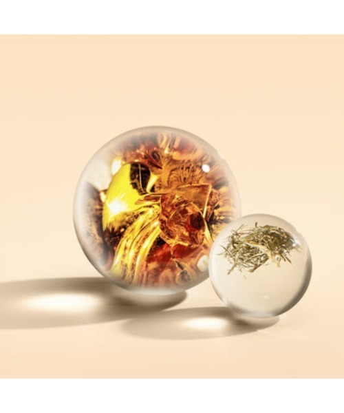 ネオンアンバー オードパルファン 100ml｜モルトンブラウン MOLTON