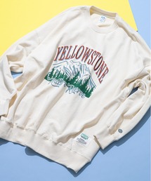 DISCUS(�f�B�X�J�X)�́yDISCUS/�f�B�X�J�X�z���� �O���t�B�b�N�v�����g �X�E�F�b�g�g���[�i�[ �I�[�o�[�T�C�Y(�X�E�F�b�g)