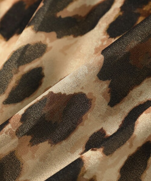 Ray BEAMS(レイビームス)の「シアー プリント クルーネック Tシャツ(Tシャツ/カットソー・レディース・チェック/レオパード・ONE SIZE)」の21枚目の写真