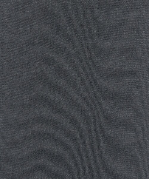 Steven Alan(スティーブンアラン)の「<Steven Alan> AQUA Tシャツ BOLD(Tシャツ/カットソー・メンズ・ケリーグリーン/ダークグレー/グレー・XL/L/M/S)」の17枚目の写真