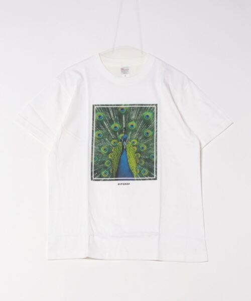 HIPSHOP(ヒップショップ)の「ZOO(ズー)Tシャツ/半袖【HIPSHOP】(Tシャツ/カットソー・メンズ・ホワイト系その他/ブラック系その他/ホワイト系その他2/ブラック系その他2・M/L)」の5枚目の写真