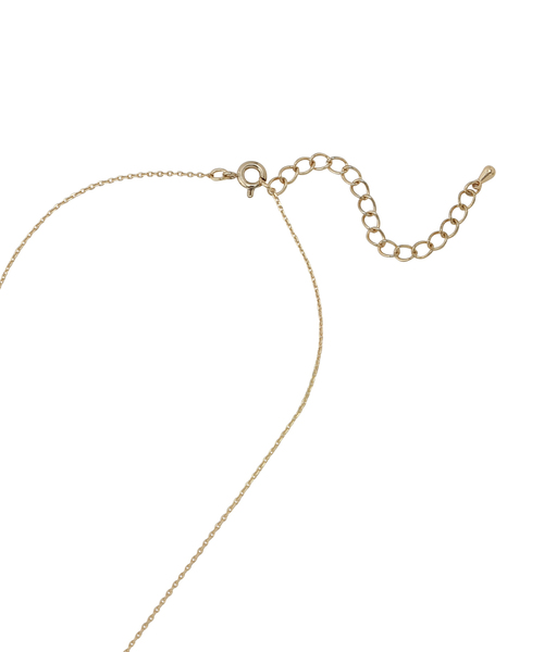 VIS（ビス）の「ニュアンスコインネックレス（ネックレス・レディース・シルバー/ゴールド・FREE）」の5枚目の写真