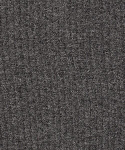 GALERIE VIE(ギャルリー ヴィー)の「レーヨンカシミヤジャージー クルーネックプルオーバー(Tシャツ/カットソー・レディース・ブラック/ライトグレー/チャコールグレー/ホワイト/ライトベージュ・FREE)」の19枚目の写真