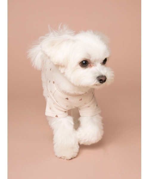 gelato pique（ジェラートピケ）の「【CAT&DOG】【販路限定商品