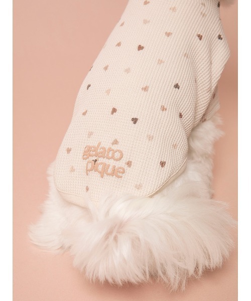 gelato pique（ジェラートピケ）の「【CAT&DOG】【販路限定商品