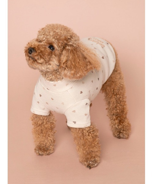 gelato pique（ジェラートピケ）の「【CAT&DOG】【販路限定商品
