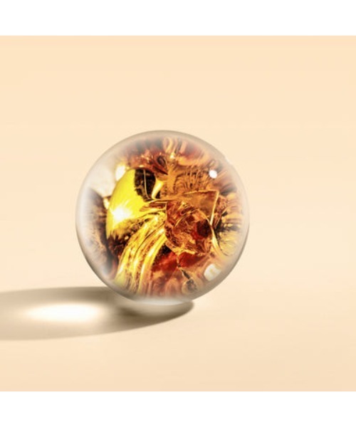 ネオンアンバー バス＆シャワージェル 300ml｜モルトンブラウン