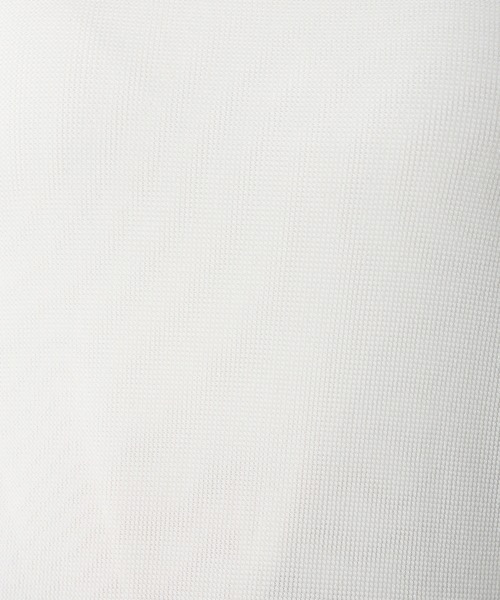 31 Sons de mode（トランテアン　ソン　ドゥ　モード）の「シアーラメトップス（Tシャツ/カットソー・レディース・クリーム/ブラック/ライトグレー・フリー）」の18枚目の写真