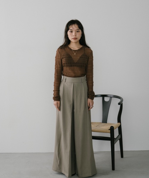 DRWCYS(ドロシーズ)の「シャーリングシアーチュールトップス(Tシャツ/カットソー・レディース・ブラウン/ブラック・FREE)」の11枚目の写真