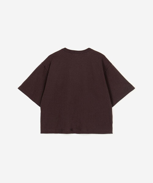 GYMPHLEX(ジムフレックス)の「Gymphlex | コットン天竺 クルーネック 半袖Tシャツ WOMEN(Tシャツ/カットソー・レディース・ブラウン/ピンク/アイボリー・14)」の6枚目の写真
