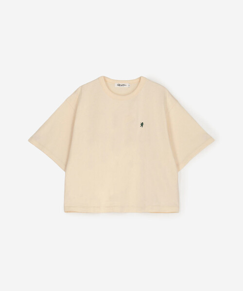 GYMPHLEX(ジムフレックス)の「Gymphlex | コットン天竺 クルーネック 半袖Tシャツ WOMEN(Tシャツ/カットソー・レディース・ブラウン/ピンク/アイボリー・14)」の15枚目の写真