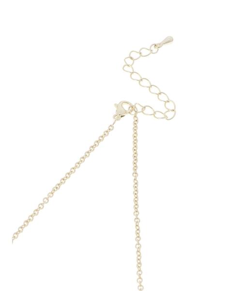 AMERICAN HOLIC（アメリカンホリック）の「変形アクリル&オーバルメタルネックレス（ネックレス・レディース・ベージュ/ブラウン系その他2・FREE）」の9枚目の写真