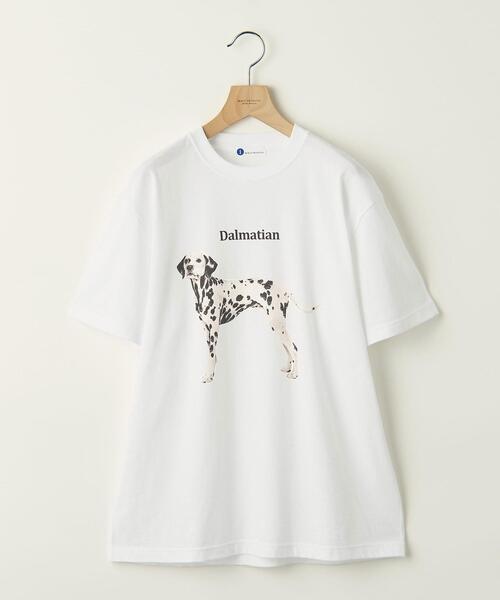 info. BEAUTY&YOUTH(インフォビューティアンドユース)の「【WEB限定】 <info. BEAUTY&YOUTH> ダルメシアン プリント クルーネック Tシャツ(Tシャツ/カットソー・メンズ・ホワイト/ブラック・S/M/L/XL)」の1枚目の写真