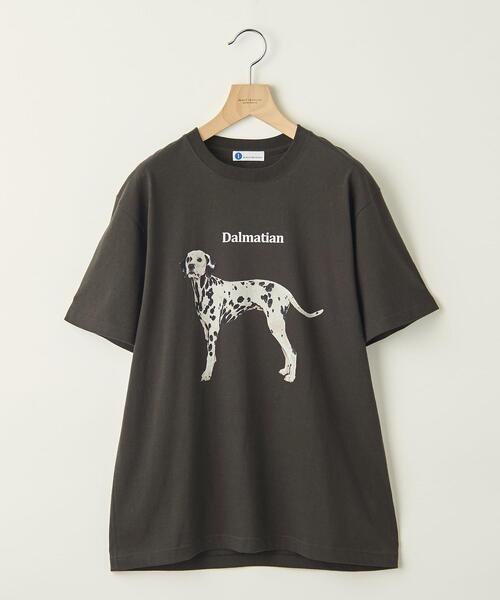 info. BEAUTY&YOUTH(インフォビューティアンドユース)の「【WEB限定】 <info. BEAUTY&YOUTH> ダルメシアン プリント クルーネック Tシャツ(Tシャツ/カットソー・メンズ・ホワイト/ブラック・S/M/L/XL)」の2枚目の写真