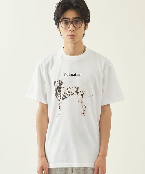 info. BEAUTY&YOUTH(インフォビューティアンドユース)の「【WEB限定】 <info. BEAUTY&YOUTH> ダルメシアン プリント クルーネック Tシャツ(Tシャツ/カットソー・メンズ・ホワイト/ブラック・S/M/L/XL)」の3枚目の写真
