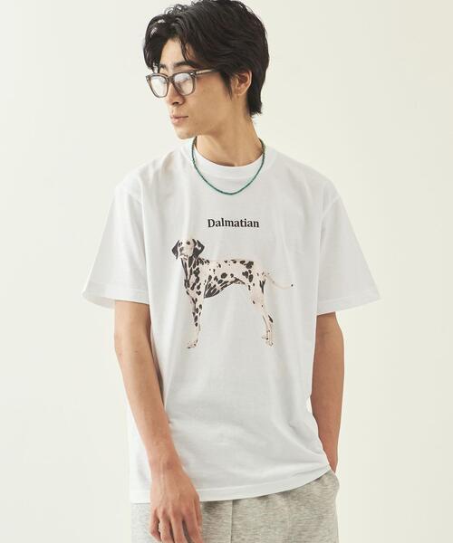 info. BEAUTY&YOUTH(インフォビューティアンドユース)の「【WEB限定】 <info. BEAUTY&YOUTH> ダルメシアン プリント クルーネック Tシャツ(Tシャツ/カットソー・メンズ・ホワイト/ブラック・S/M/L/XL)」の6枚目の写真