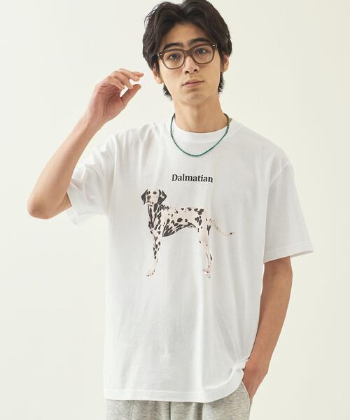 info. BEAUTY&YOUTH(インフォビューティアンドユース)の「【WEB限定】 <info. BEAUTY&YOUTH> ダルメシアン プリント クルーネック Tシャツ(Tシャツ/カットソー・メンズ・ホワイト/ブラック・S/M/L/XL)」の7枚目の写真
