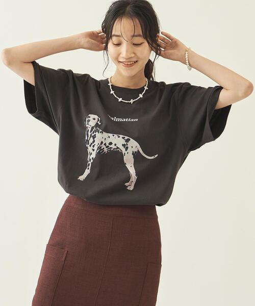 info. BEAUTY&YOUTH(インフォビューティアンドユース)の「【WEB限定】 <info. BEAUTY&YOUTH> ダルメシアン プリント クルーネック Tシャツ(Tシャツ/カットソー・メンズ・ホワイト/ブラック・S/M/L/XL)」の10枚目の写真