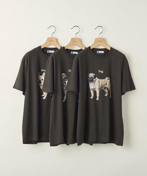 info. BEAUTY&YOUTH(インフォビューティアンドユース)の「【WEB限定】 <info. BEAUTY&YOUTH> ダルメシアン プリント クルーネック Tシャツ(Tシャツ/カットソー・メンズ・ホワイト/ブラック・S/M/L/XL)」の20枚目の写真