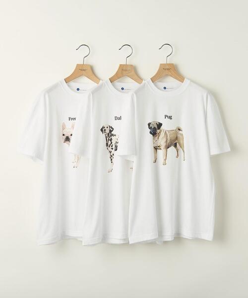 info. BEAUTY&YOUTH(インフォビューティアンドユース)の「【WEB限定】 <info. BEAUTY&YOUTH> ダルメシアン プリント クルーネック Tシャツ(Tシャツ/カットソー・メンズ・ホワイト/ブラック・S/M/L/XL)」の21枚目の写真