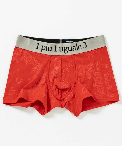 1PIU1UGUALE3  RELAX （ウノピゥウノウグァーレトレ リラックス）の「1PIU1UGUALE3 RELAX(ウノピゥウノウグァーレトレ リラックス)ペイズリーロゴボクサーパンツ（ボクサーパンツ・メンズ・ネイビー/ブラック/レッド・M/L）」の3枚目の写真