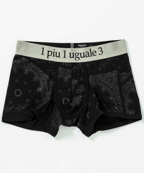 1PIU1UGUALE3  RELAX （ウノピゥウノウグァーレトレ リラックス）の「1PIU1UGUALE3 RELAX(ウノピゥウノウグァーレトレ リラックス)ペイズリーロゴボクサーパンツ（ボクサーパンツ・メンズ・ネイビー/ブラック/レッド・M/L）」の2枚目の写真