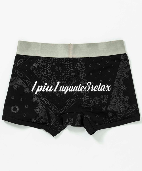 1PIU1UGUALE3  RELAX （ウノピゥウノウグァーレトレ リラックス）の「1PIU1UGUALE3 RELAX(ウノピゥウノウグァーレトレ リラックス)ペイズリーロゴボクサーパンツ（ボクサーパンツ・メンズ・ネイビー/ブラック/レッド・M/L）」の5枚目の写真