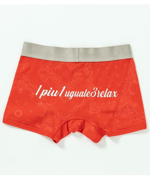 1PIU1UGUALE3  RELAX （ウノピゥウノウグァーレトレ リラックス）の「1PIU1UGUALE3 RELAX(ウノピゥウノウグァーレトレ リラックス)ペイズリーロゴボクサーパンツ（ボクサーパンツ・メンズ・ネイビー/ブラック/レッド・M/L）」の7枚目の写真