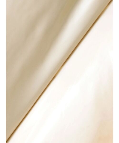 EMODA（エモダ）の「コンパクトパッファーダウンベスト（ダウンベスト・レディース・ブラック/アイボリー/ブラウン/グレー・FREE）」の10枚目の写真