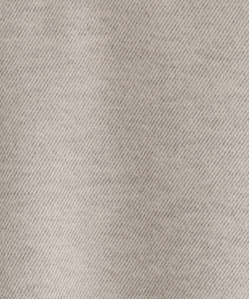 couture brooch(クチュールブローチ)の「【通勤・起毛ポンチ】配色Aラインワンピース(ワンピース・レディース・ブラウン系その他/グレー・42/40/38/36)」の12枚目の写真