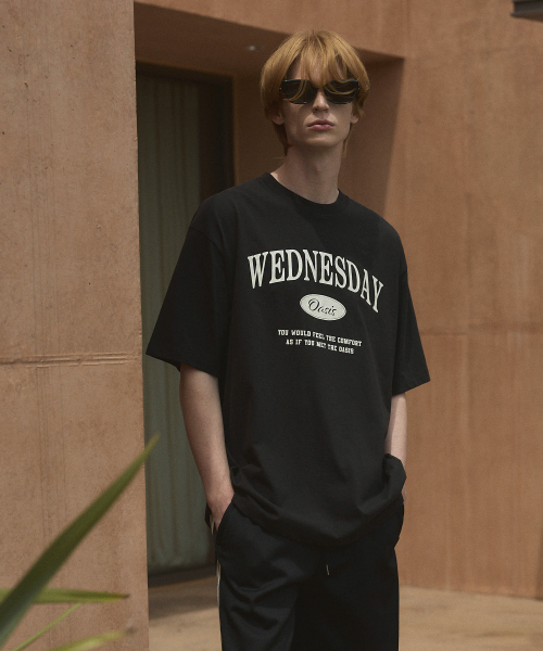 WEDNESDAY OASIS(ウェンズデーオアシス)の「シグネチャーオーバーサイズ半袖Tシャツ(6色)(Tシャツ/カットソー・レディース・ブルー/グリーン/ネイビー/グレー/ブラック/アイボリー・LARGE/MEDIUM)」の11枚目の写真