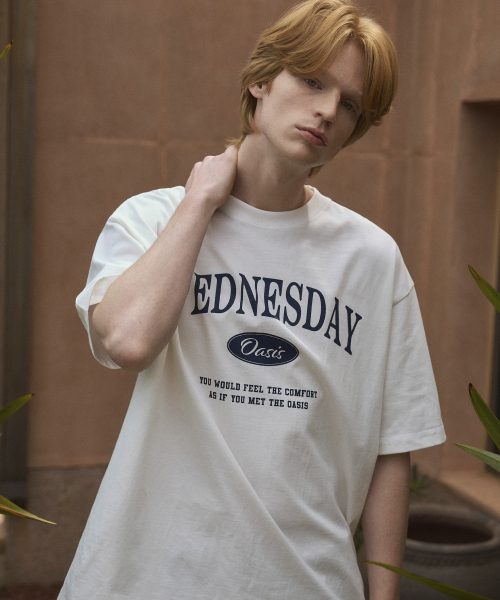 WEDNESDAY OASIS(ウェンズデーオアシス)の「シグネチャーオーバーサイズ半袖Tシャツ(6色)(Tシャツ/カットソー・レディース・ブルー/グリーン/ネイビー/グレー/ブラック/アイボリー・LARGE/MEDIUM)」の12枚目の写真