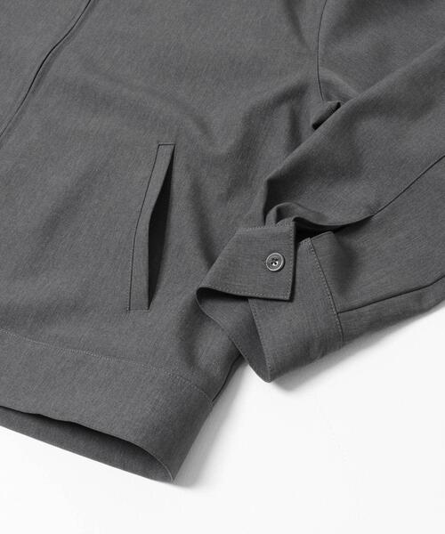 SENSE OF PLACE by URBAN RESEARCH(センスオブプレイスバイアーバンリサーチ)の「FLカラージップブルゾン(ブルゾン・メンズ・グレー/ブラック/ブラウン・MEDIUM/LARGE)」の22枚目の写真