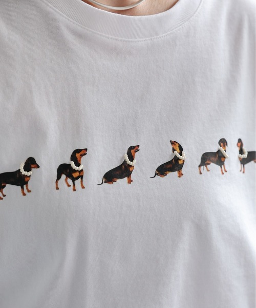 ap retro(アプレトロ)の「ドッグモチーフプリント / フレンチスリーブTシャツ(Tシャツ/カットソー・レディース・グレー/ブラック/ホワイト・FREE)」の12枚目の写真