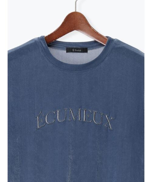 Te chichi（テチチ）の「シアーベロアロゴ刺繍Tシャツ（Tシャツ/カットソー・レディース・ブルー/オフホワイト/ブラック・F）」の4枚目の写真