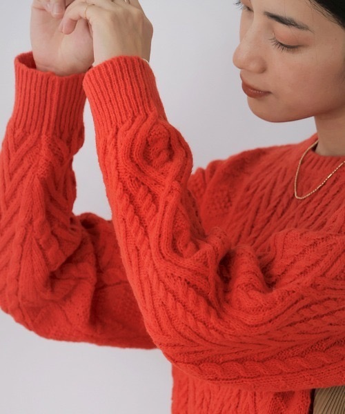 Bou Jeloud(ブージュルード)の「ケーブルバックプリーツニットプルオーバー(ニット/セーター・レディース・レッド/アイボリー/ブラック・FREE)」の18枚目の写真