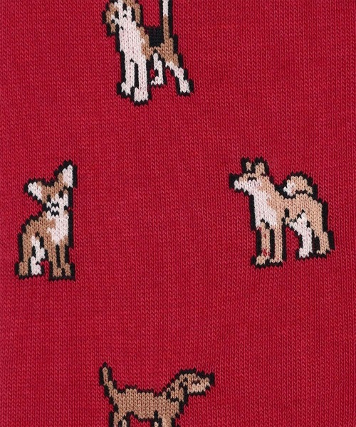 Paul Smith(ポールスミス)の「“Kyoto Dogs” ソックス【250619 CS】(ソックス/靴下・メンズ・オレンジ/レッド/ブラック・25-27)」の5枚目の写真